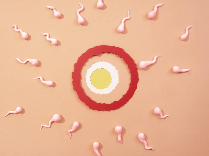 Acupuntura para la Fertilidad en Barcelona